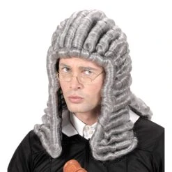 PARRUCCA GRIGIA DA GIUDICE