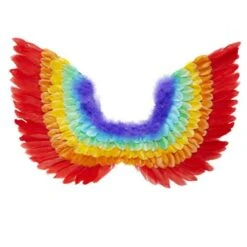 ALI IN PIUME ARCOBALENO -Widmann 13643 4