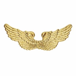 ALI DORATE DA ANGELO IN PLASTICA