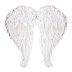 ALI IN PIUME BIANCHE CM 51x46