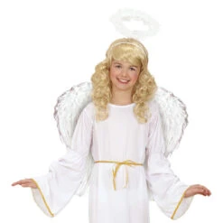 ALI IN PIUME BIANCHE CM 51x46 -Widmann 8644H b