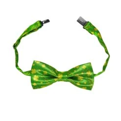 FARFALLINO FESTA DI SAN PATRIZIO